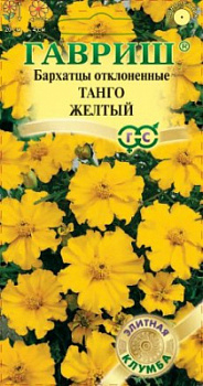 Танго