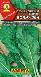 Горчица салатная Волнушка_ЦП
