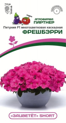 Петуния фрешберри