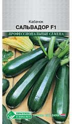 Кабачок Сальвадор