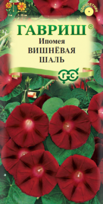 Ипомея пурпурная Вишневая шаль