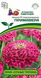 Цинния примавера