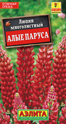 Люпин Алые паруса многолетний_ЦП