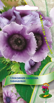 Глоксиния Харизма Лавандовая