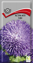 astra_igl_sofi