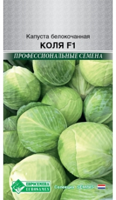Капуста коля