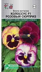 Виола Колоссус Розовый Сюрприз