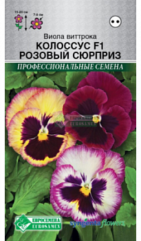 Виола Колоссус Розовый Сюрприз