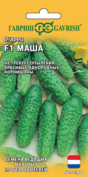 Огурец Маша