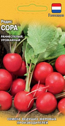 Сора