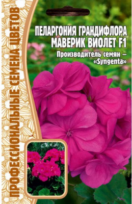 Маверик виолет