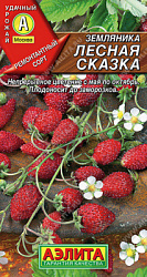Лесная сказка