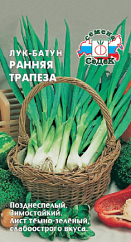 luk_rannyaya_trapeza_batun