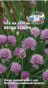 luk_vesna_severa_shnitt