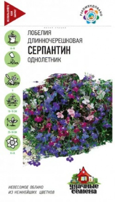 Лобелия Серпантин