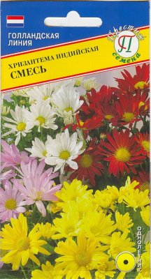 Хризантема индийская Смесь