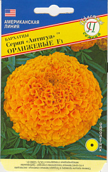 Бархатцы Антигуа оранжевые
