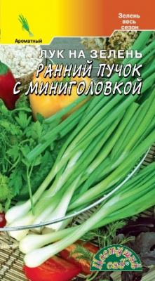 Лук на зелень Ранний пучок с миниголовкой