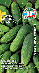 ogurets_boris_f1