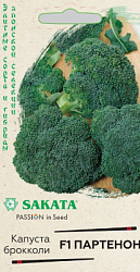 Партенон