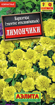 Бархатцы Лимончики отклоненные_ЦП