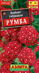 Вербена Румба