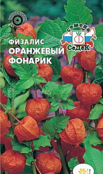 fizalis_oranzhevyy_fonarik