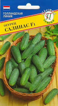 Огурец салинас