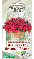 Петуния Ягодный Велюр