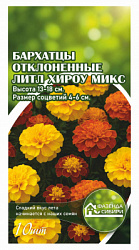 Бархатцы отклоненные Little  Hero  Mix