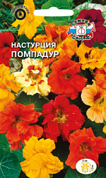 nasturtsiya_pompadur_smes