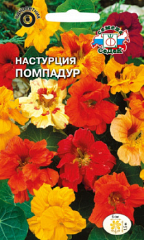 nasturtsiya_pompadur_smes