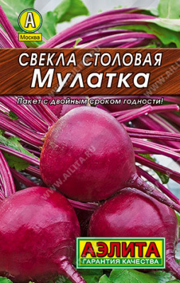 Свекла Мулатка лидер