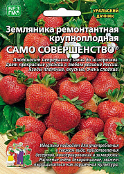 Земляника ремонтантная крупноплодная САМО СОВЕРШЕНСТВО
