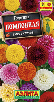 Георгина помпонная, смесь сортов_ЦП