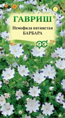Немофила Барбара