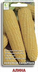 kukuruza_saharnaya_alina
