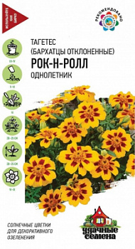 Бархатцы Рок-н-ролл удс