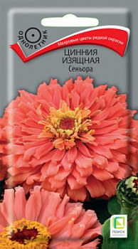 cinnia_izyash_seniora