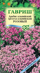 arabis_rozovyj_mini4