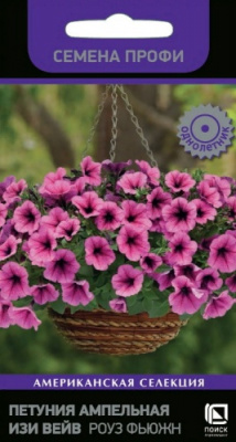 petunia_ampel_f1_easy_wave_rouz_fusion