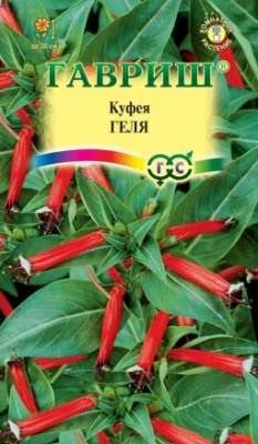 Куфея