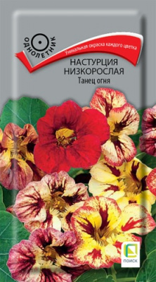 nasturtsiya_nizkoroslaya_tanets_ognya