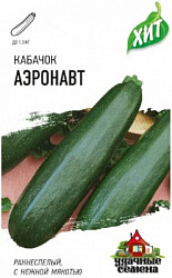 Кабачок Аэронавт