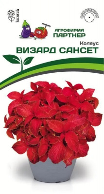 Колеус Визард Сансет
