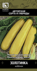 kabachok_zolotinka