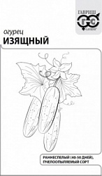 Изящный