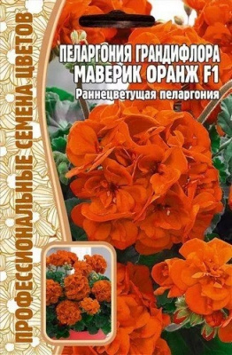 Маверик оранж