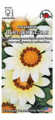 Нью дей белая