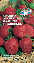 zemlyanika_sashenka_f1